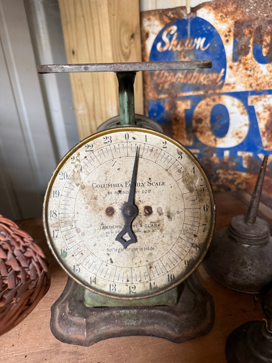 Scale
