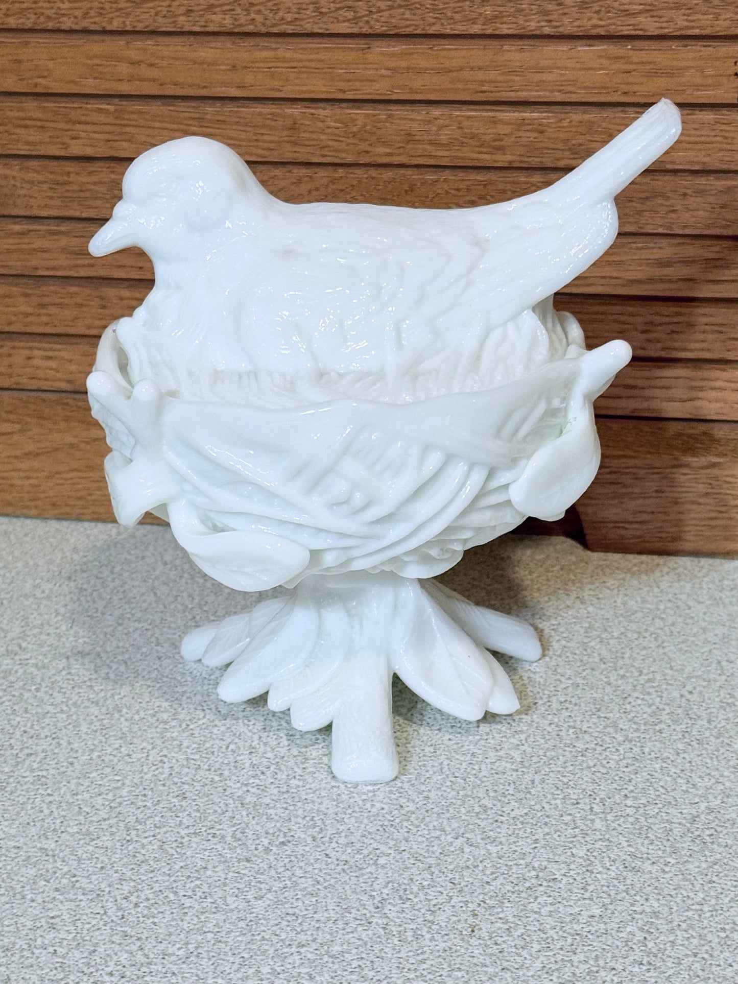 Bird on nest